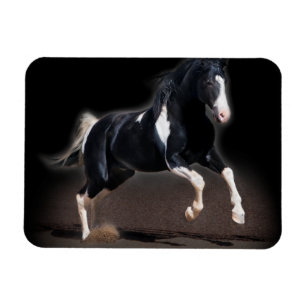 Hästdjur Porträtt VIII Magnet