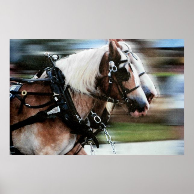 Hästdragning poster foto (Framsidan)