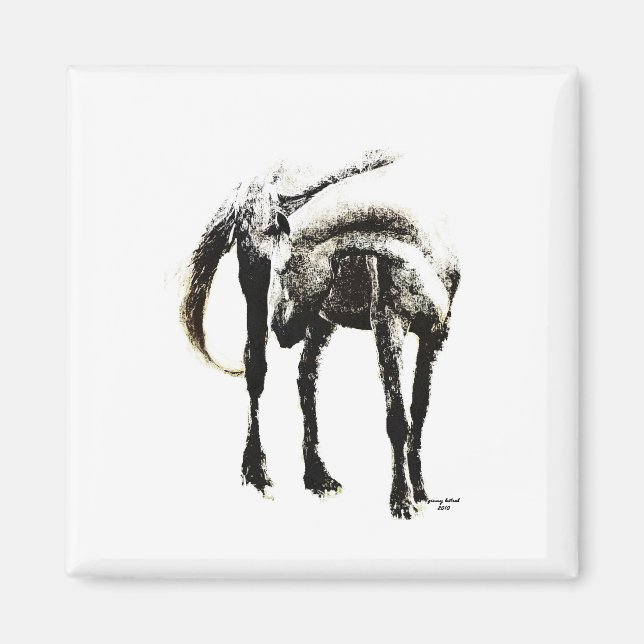 Hästen Magnet (Framsidan)