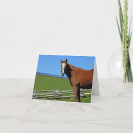 Hästen noterar kortet kort