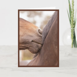 Hästen Nuzzle valentinen Helgkort