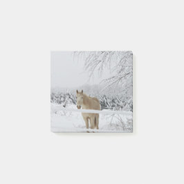 hästen postar det noterar post-it block