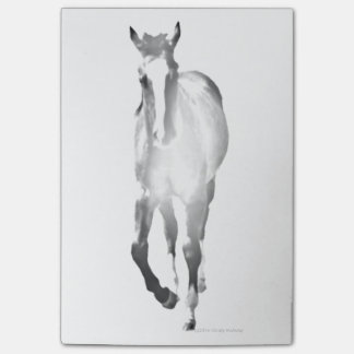 Hästen skuggar post-it block