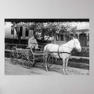 Hästen som drar leveransvagn, fotograferar poster