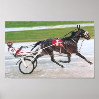 hästens tävla poster