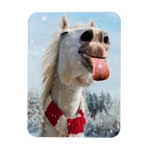 Hästfångande Snöflingor Magnet