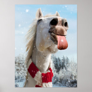 Hästfångande Snöflingor Poster