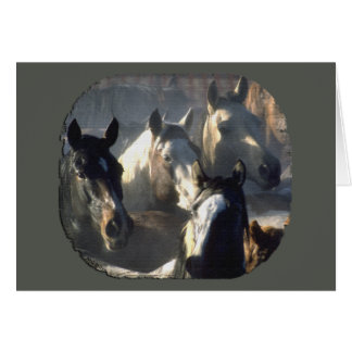 Hästflock Hälsningskort