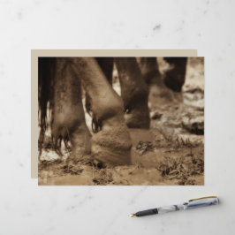 Hästfoder Western Vintage Sepia Brown Rustic