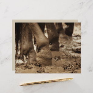 Hästfoder Western Vintage Sepia Brown Rustic