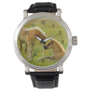 Hästföl Armbandsur