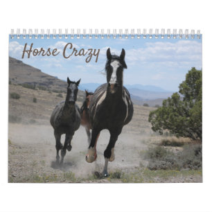 Hästfotografier för hästar Lovers Kalender
