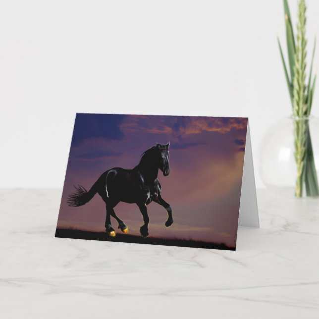 Hästgallopfria Kort (Framsida)