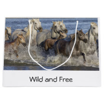 Hästgalloping i vatten