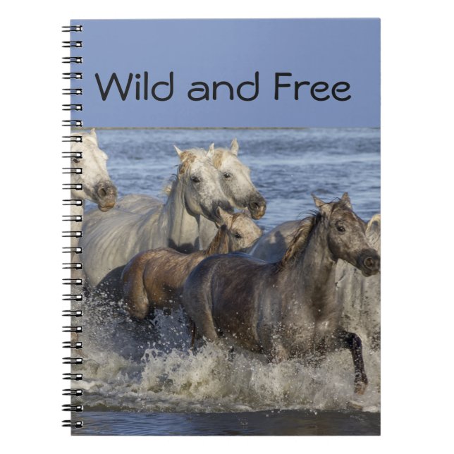 Hästgalloping i vatten anteckningsbok (Framsidan)