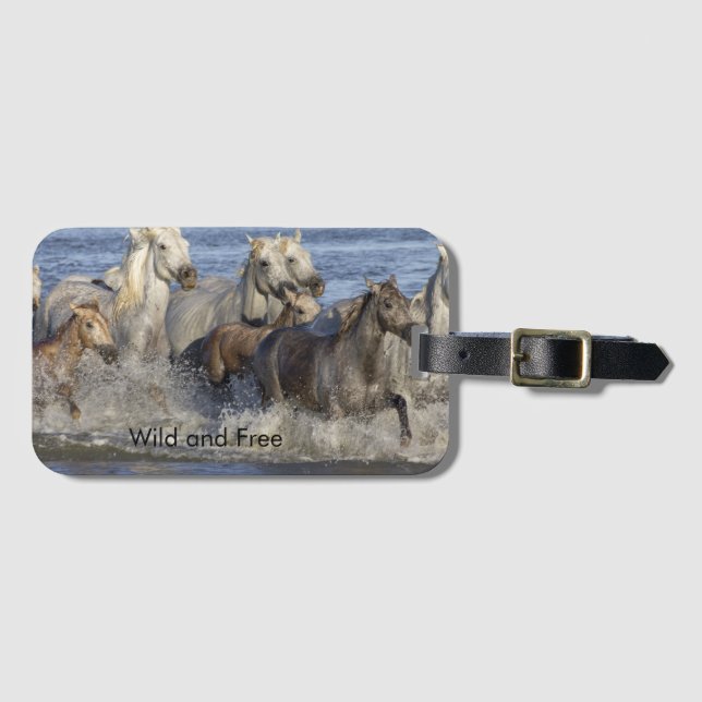 Hästgalloping i vatten bagagebricka (Framsida horisontal)