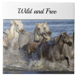 Hästgalloping i vatten kakelplatta