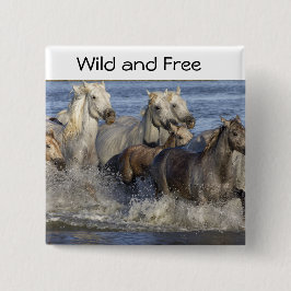 Hästgalloping i vatten knapp