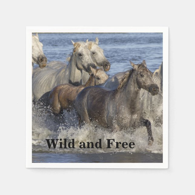 Hästgalloping i vatten pappersservett (Framsidan)