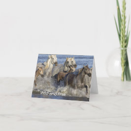 Hästgalloping i vatten tack kort