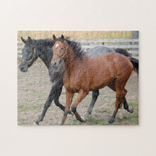 Hästgalloping Pussel