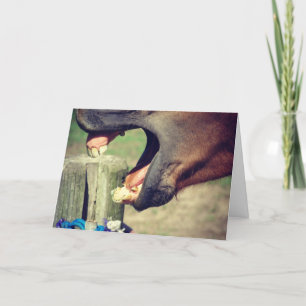 Hästgäspning, fars dag kort