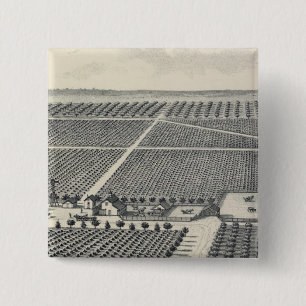 Hastie Vineyard, Kalifornien Knapp