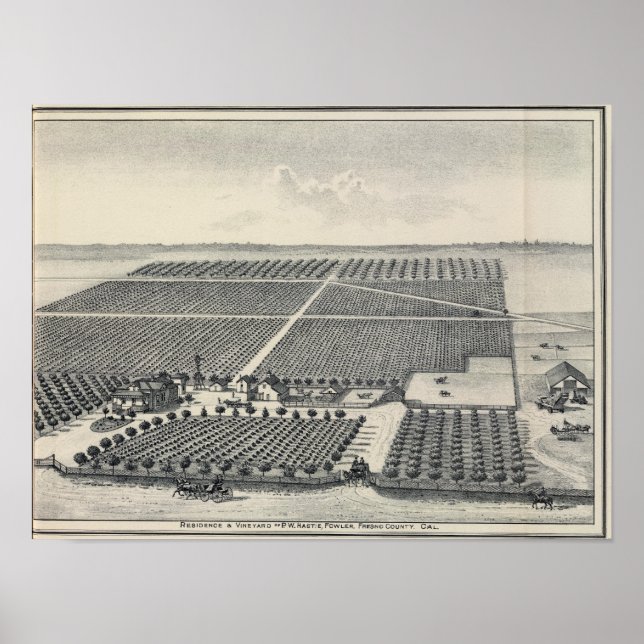 Hastie Vineyard, Kalifornien Poster (Framsidan)