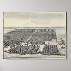 Hastie vingård, Kalifornien Poster