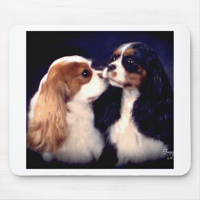 Hastig Tippy gataNova Musmatta (Framsidan)