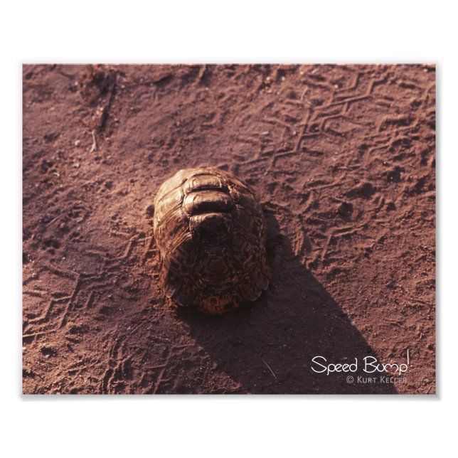 Hastighetsbubbla Fototryck (Framsidan)