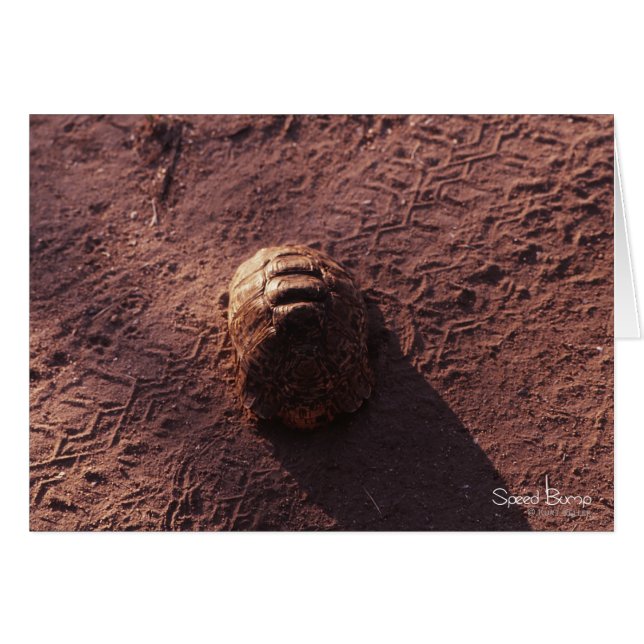 Hastighetsbubbla Hälsningskort (Framsidan Horizontal)