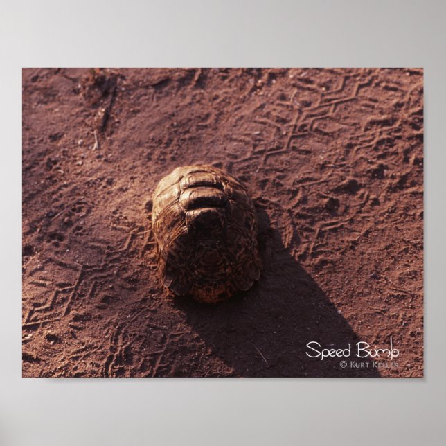 Hastighetsbubbla Poster (Framsidan)