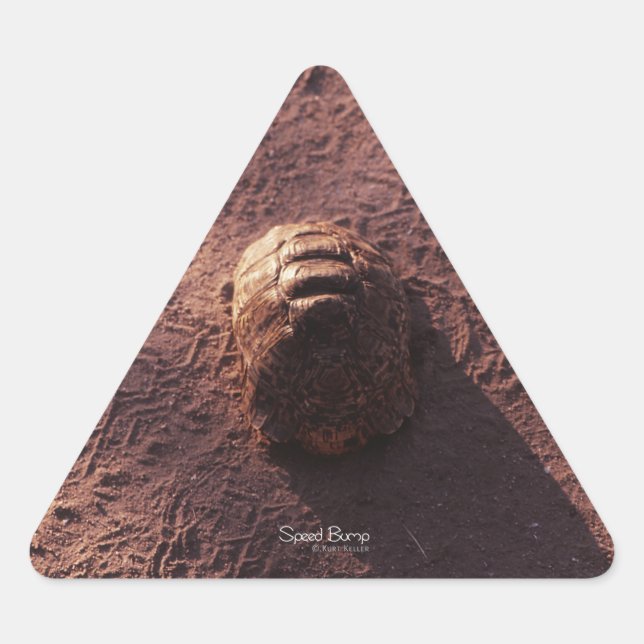 Hastighetsbubbla Triangelformat Klistermärke (Framsida)