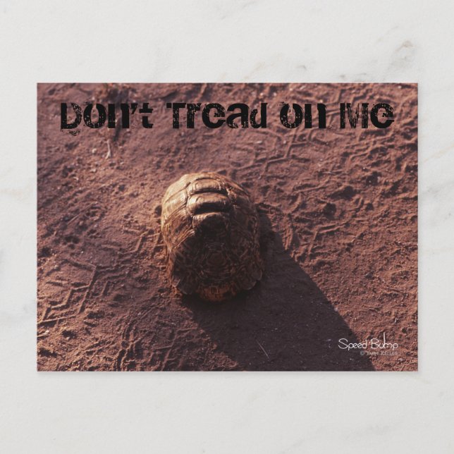 Hastighetsbubbla Vykort (Framsida)