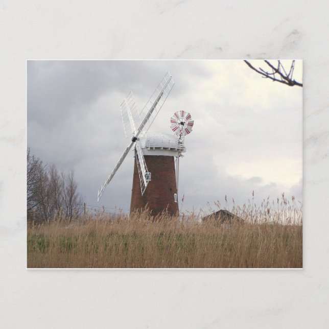 Hästintresserade Windpump Norfolk Vykort (Framsida)