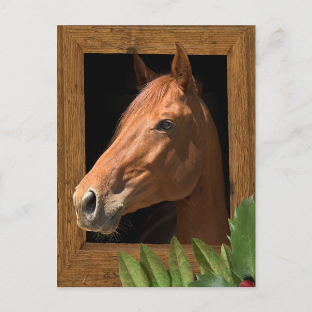 Hästjul Helg Vykort (Framsida)