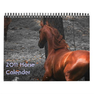 Hästkalender 2011 kalender