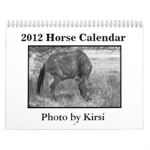 Hästkalender 2012 kalender