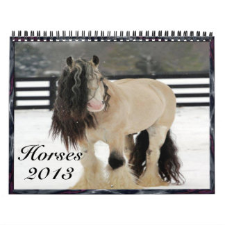 Hästkalender 2013 kalender