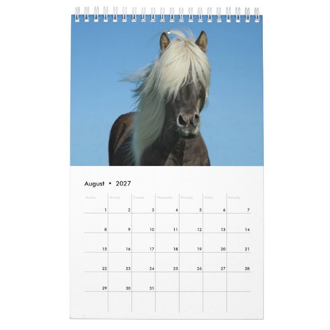 Hästkalender 2017 kalender (Aug 2027)