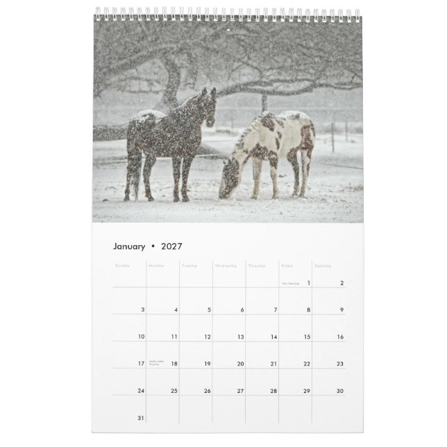 Hästkalender 2017 kalender (Jan 2027)