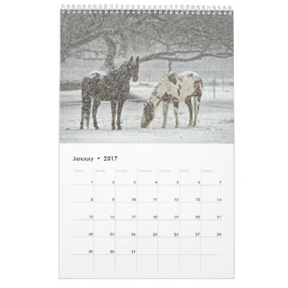Hästkalender 2017 kalender
