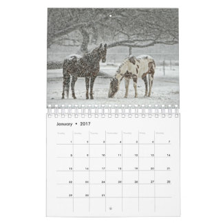 Hästkalender 2017 kalender