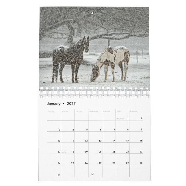 Hästkalender 2017 kalender (Jan 2027)