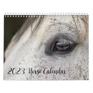 Hästkalender 2023 med dina foton kalender
