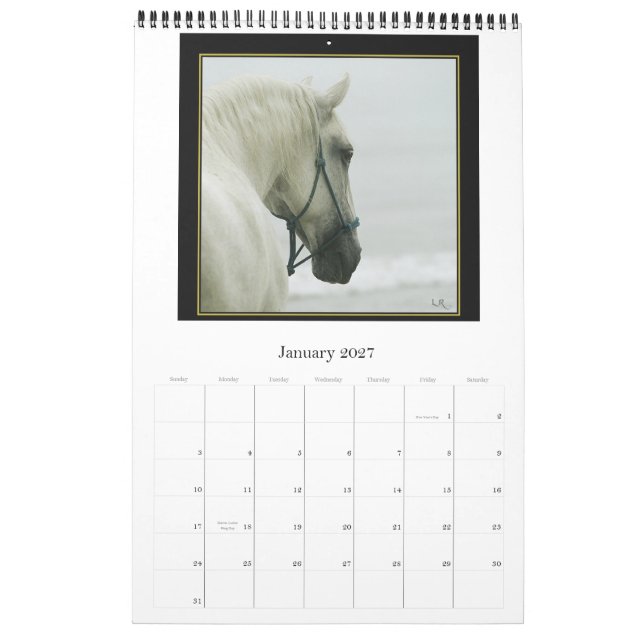 Hästkalender - Andalusian, Friesian Lipizzan Kalender (Jan 2027)