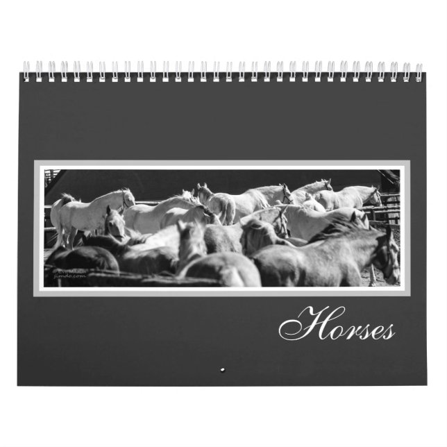 Hästkalender Kalender (Omslag)