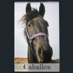 Hästkalender... Kalender<br><div class="desc">Hästkalender... ..om Ensidig kalender - Spanien</div>