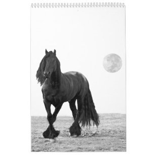 Hästkalender Kalender